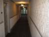 img_3696_small.jpg