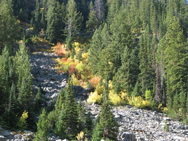 img_3976.jpg