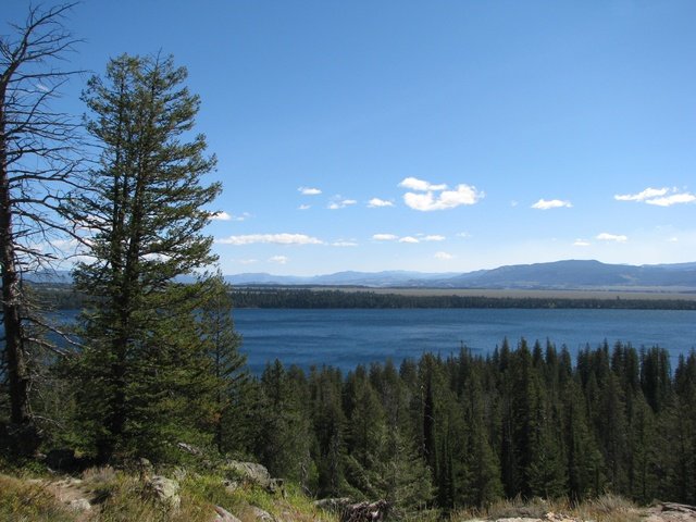 img_3981.jpg