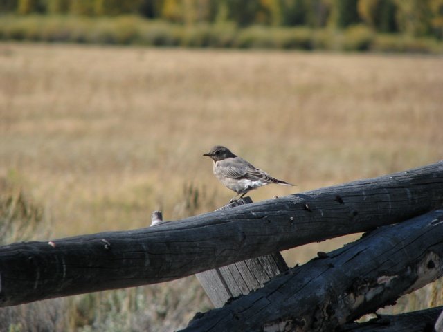 img_4002.jpg
