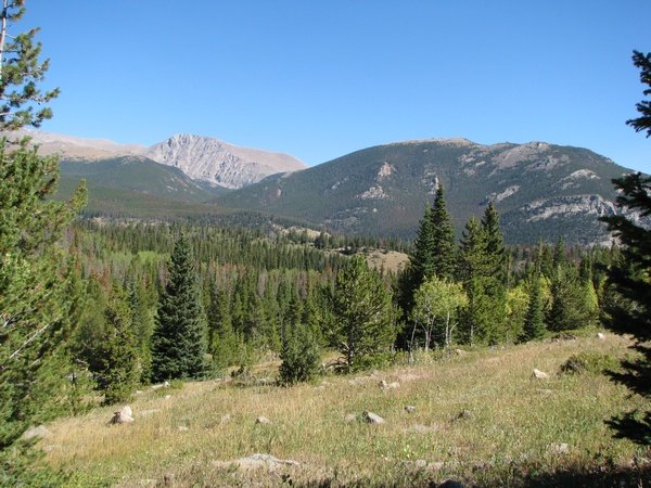 img_3503.jpg