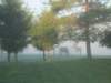 img_0014_small.jpg
