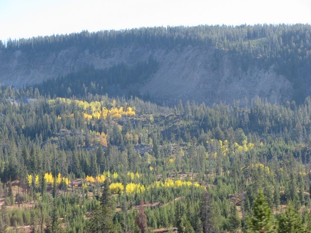 img_4032.jpg