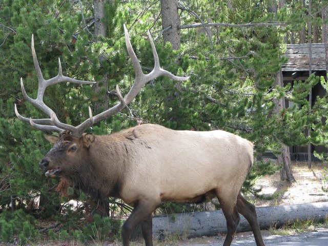 img_4060.jpg