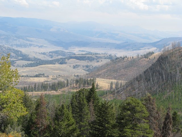 img_4265.jpg