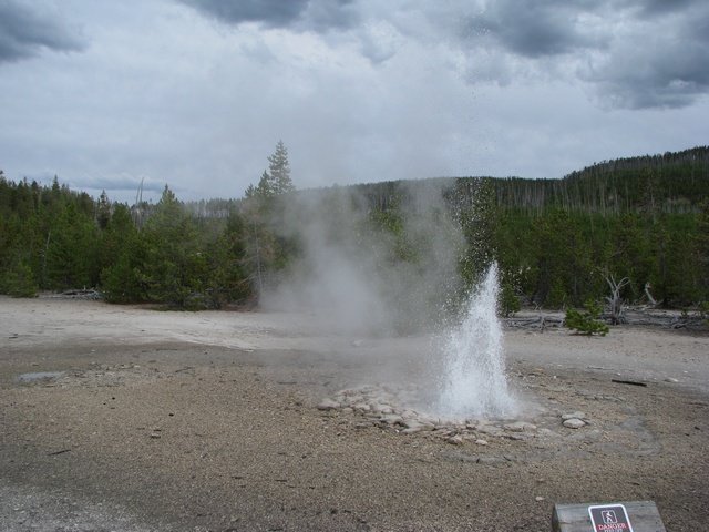 img_4306.jpg