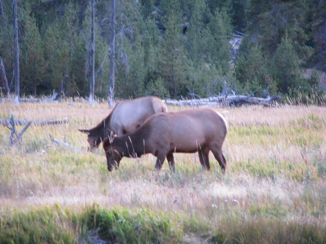 img_4312.jpg