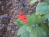 img_4572_small.jpg