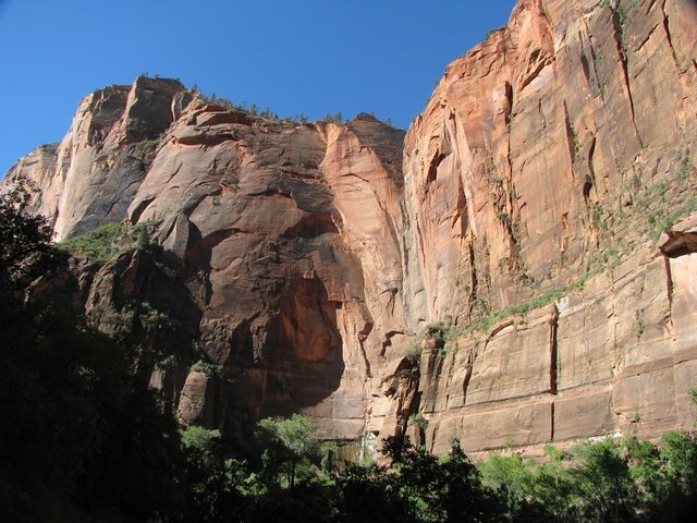 img_4584.jpg