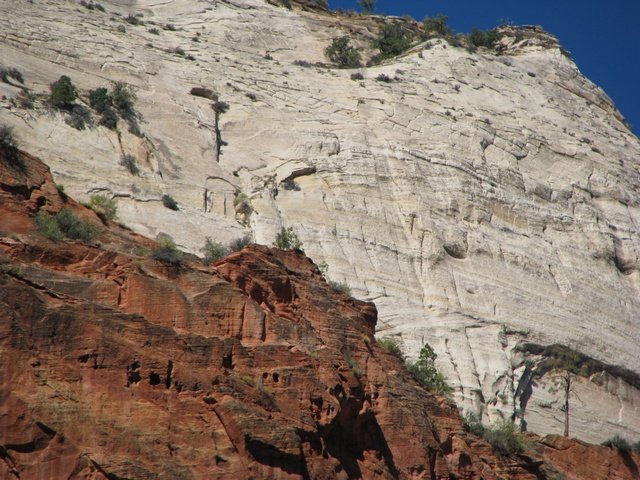 img_4592.jpg
