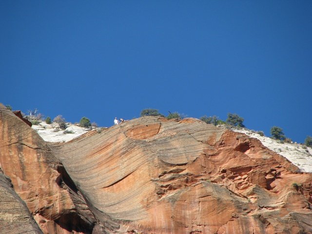 img_4594.jpg