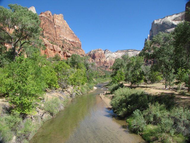 img_4619.jpg