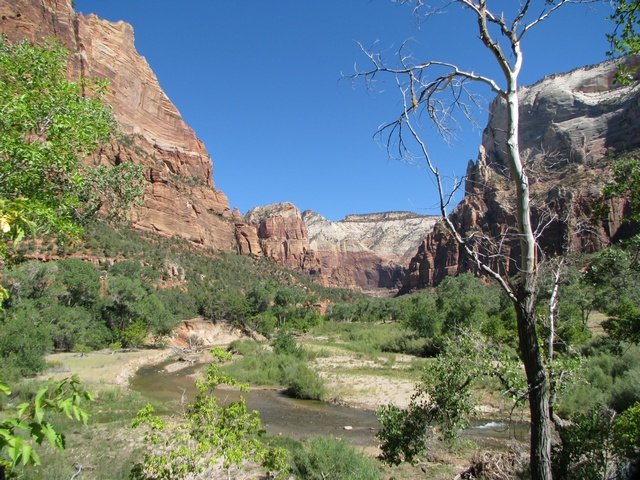 img_4624.jpg