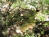 img_4631_small.jpg