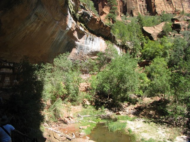 img_4636.jpg