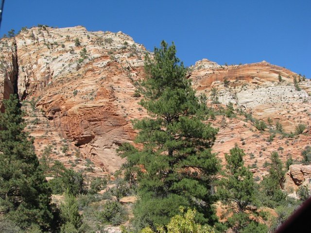 img_4698.jpg