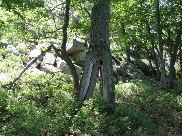 img_0937.jpg